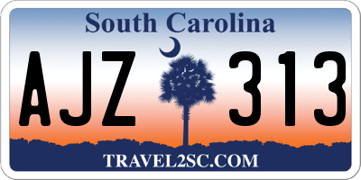 SC license plate AJZ313