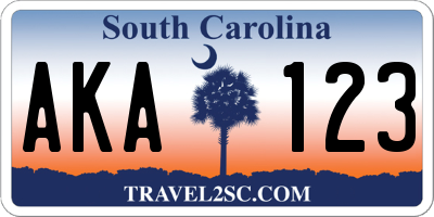 SC license plate AKA123