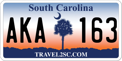 SC license plate AKA163