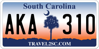 SC license plate AKA310