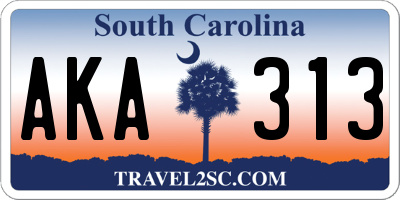 SC license plate AKA313