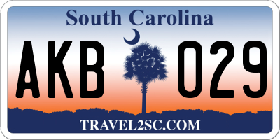 SC license plate AKB029