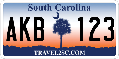 SC license plate AKB123