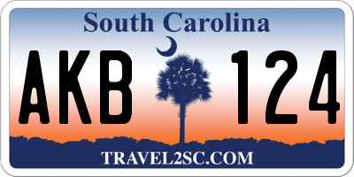 SC license plate AKB124