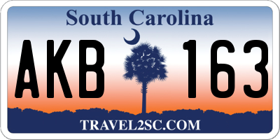 SC license plate AKB163