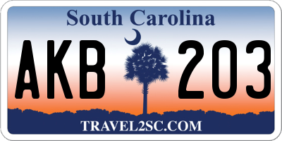 SC license plate AKB203