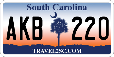 SC license plate AKB220