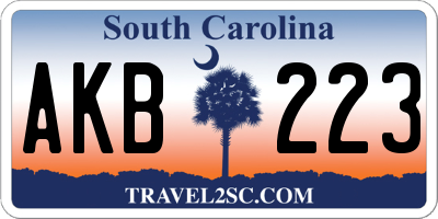 SC license plate AKB223