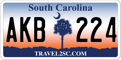 SC license plate AKB224