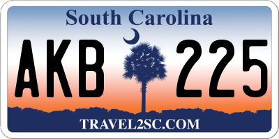 SC license plate AKB225