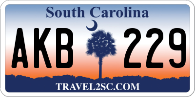 SC license plate AKB229