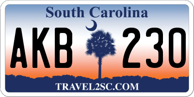 SC license plate AKB230