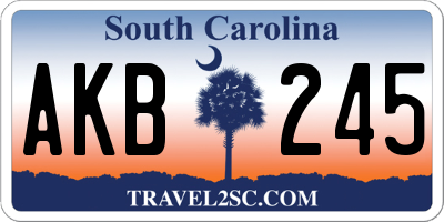 SC license plate AKB245