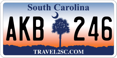 SC license plate AKB246