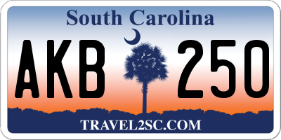 SC license plate AKB250