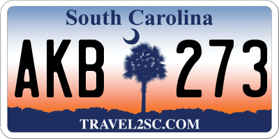 SC license plate AKB273
