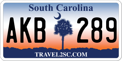 SC license plate AKB289