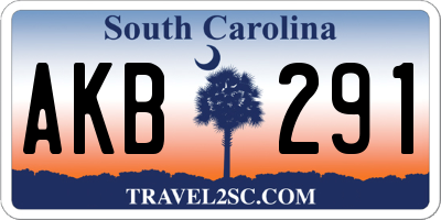 SC license plate AKB291