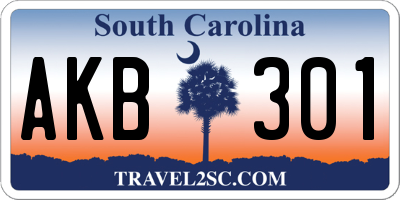 SC license plate AKB301
