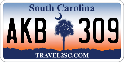 SC license plate AKB309