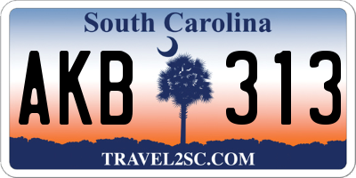 SC license plate AKB313