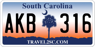 SC license plate AKB316