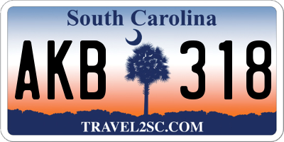 SC license plate AKB318