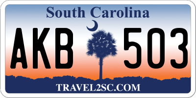 SC license plate AKB503
