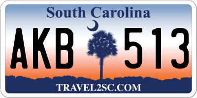 SC license plate AKB513