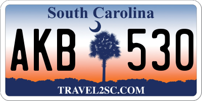 SC license plate AKB530