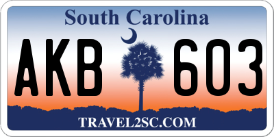 SC license plate AKB603