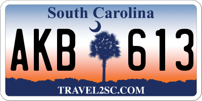 SC license plate AKB613
