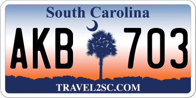 SC license plate AKB703
