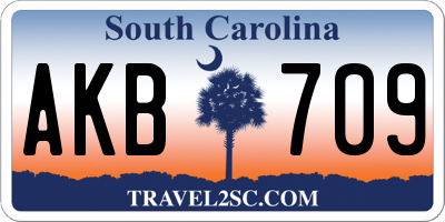 SC license plate AKB709