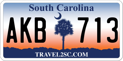SC license plate AKB713