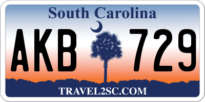 SC license plate AKB729