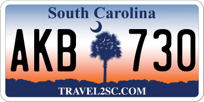 SC license plate AKB730