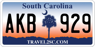 SC license plate AKB929