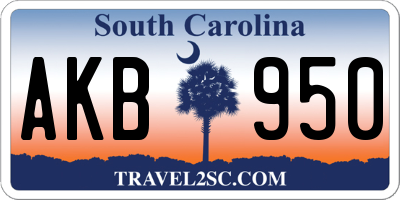 SC license plate AKB950