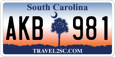 SC license plate AKB981
