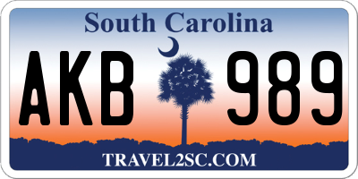SC license plate AKB989