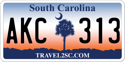 SC license plate AKC313