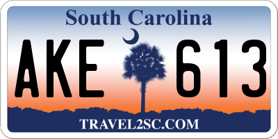 SC license plate AKE613