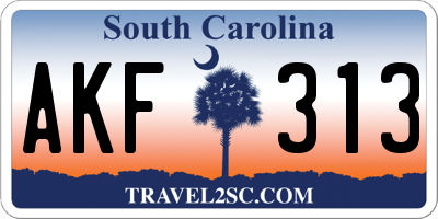 SC license plate AKF313