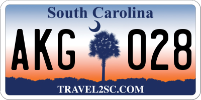 SC license plate AKG028