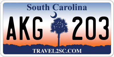 SC license plate AKG203