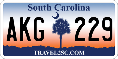 SC license plate AKG229