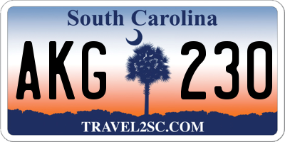 SC license plate AKG230