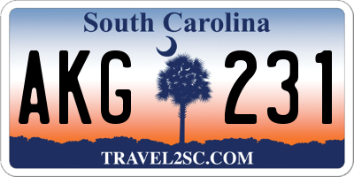 SC license plate AKG231
