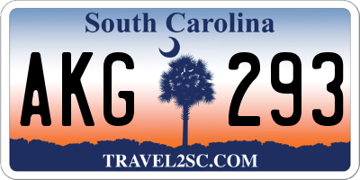 SC license plate AKG293